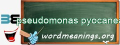 WordMeaning blackboard for pseudomonas pyocanea